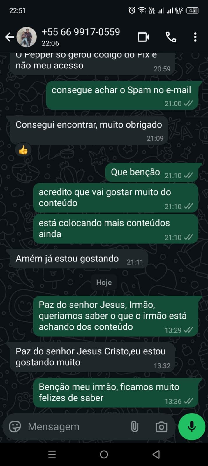 Depoimento WhatsApp 4